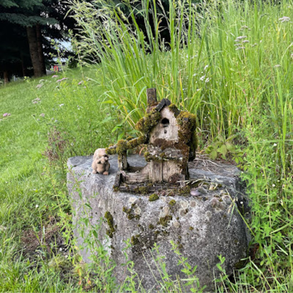 Meet your Posher, Monica